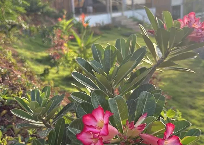 Esencia De Miel - & Boutique Safari * Puerto Soley